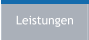 Leistungen